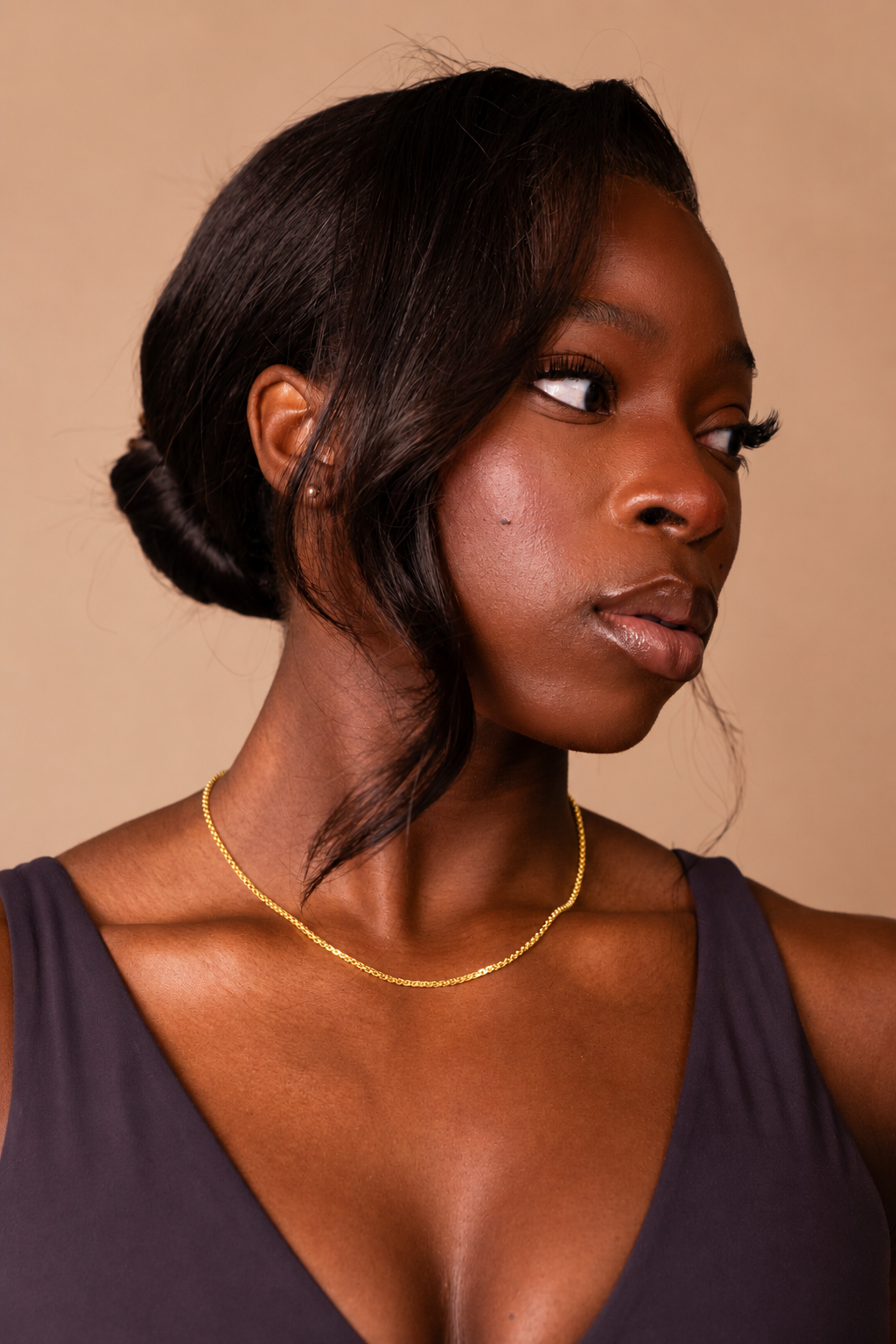 Gold Plated | The Gold Plated Horizon Chain Model